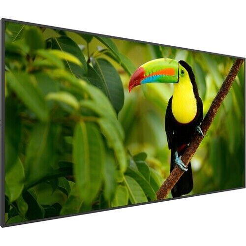 Planar Systems Simplicity Series SL5064K 50" Class 4K UHD Commercial LED Display