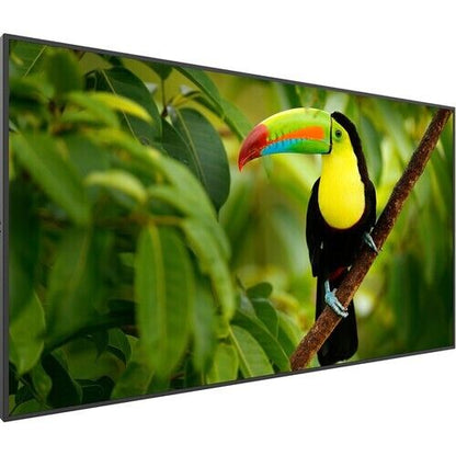 Planar Systems Simplicity Series SL6564K 65" Class 4K UHD Commercial LED Display